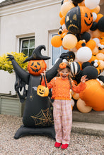 Load image into Gallery viewer, FB425 Standing Scarecrow
