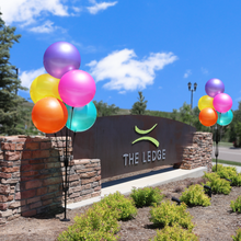 Load image into Gallery viewer, Reusable 5-Balloon Cluster Pole Kit