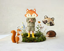 Load image into Gallery viewer, FB367 Raccoon
