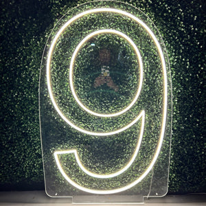 Number 9 Neon Sign Rental