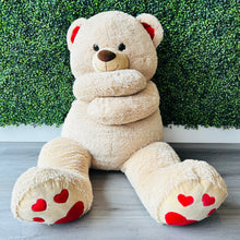 Load image into Gallery viewer, Teddy Bears Stuffed Animal Rental
