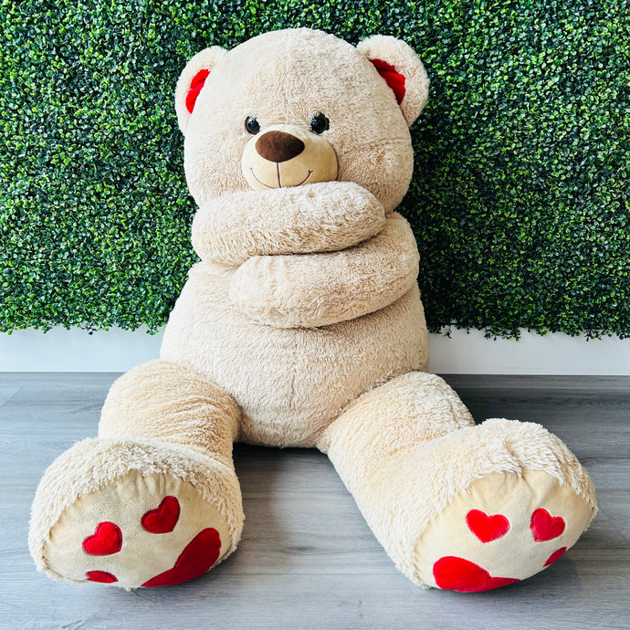 Teddy Bears Stuffed Animal Rental