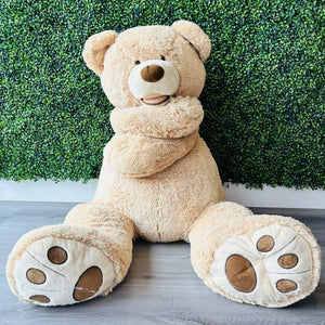 Teddy Bears Stuffed Animal Rental