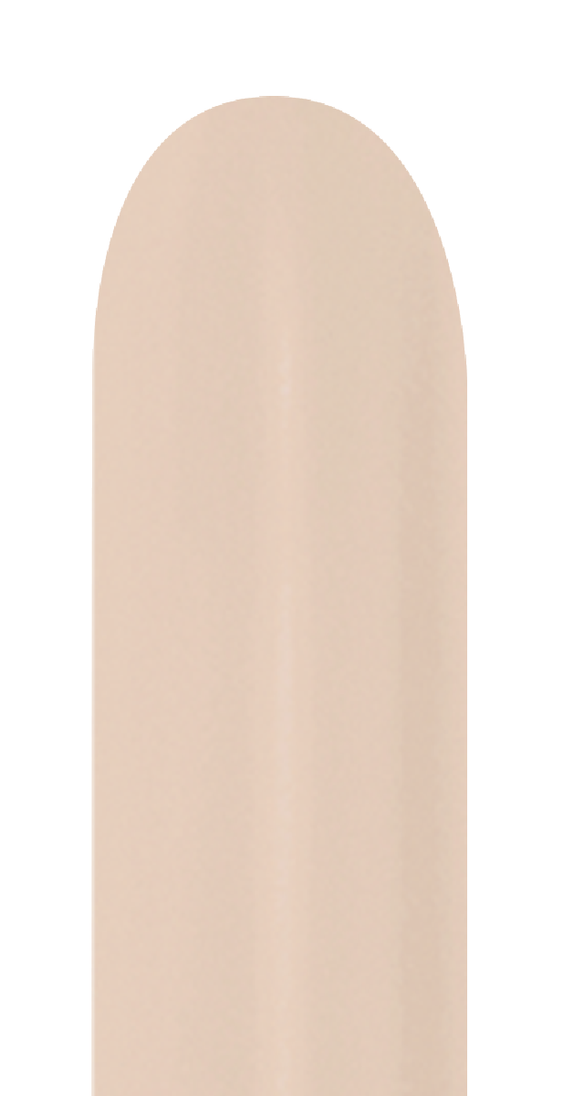 418728 Pastel Matte Nude 260S (50ct)