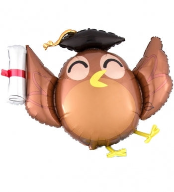 37289 Graduation Owl