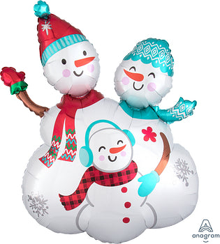 40094 Snow Family