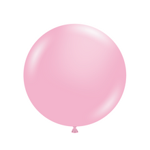 Load image into Gallery viewer, 17022 Tuftex Baby Pink 17&quot; Round (50ct)
