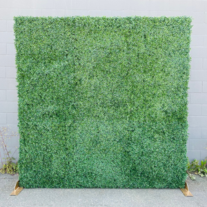 8ft Square Boxwood Backdrop Rental